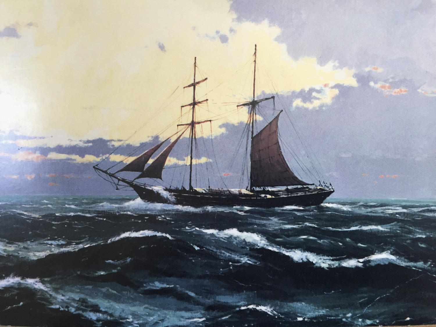 The ‘’Caroline Beeson’’, one of four sailing ships operated by Beesons when they started as importers.